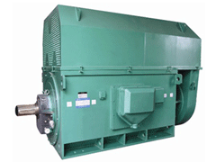 山南Y系列6KV高压电机